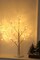 Perfect Holiday 50CM Table Birch Tree 18 LED - Battery Operated